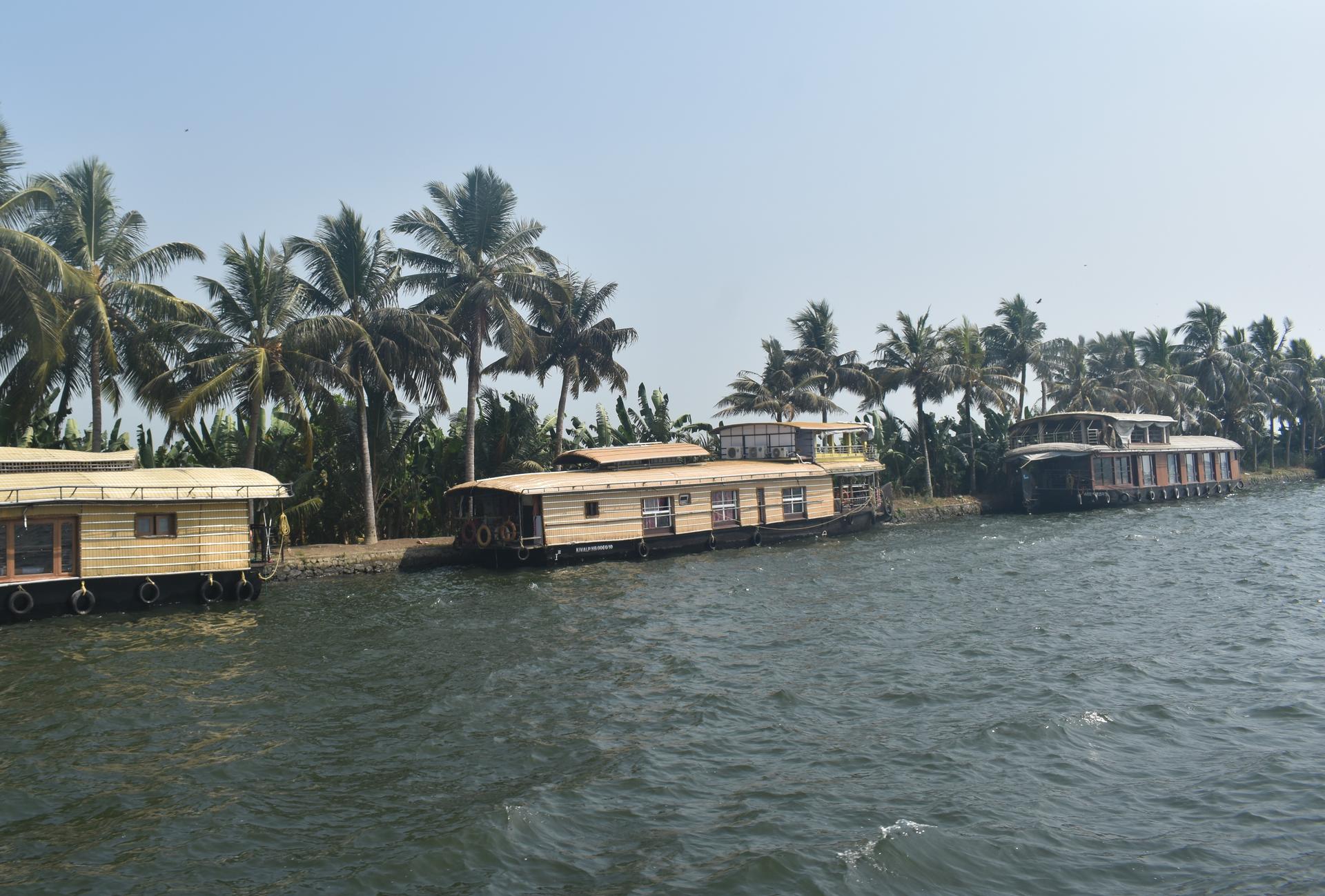 Alleppy houseboats