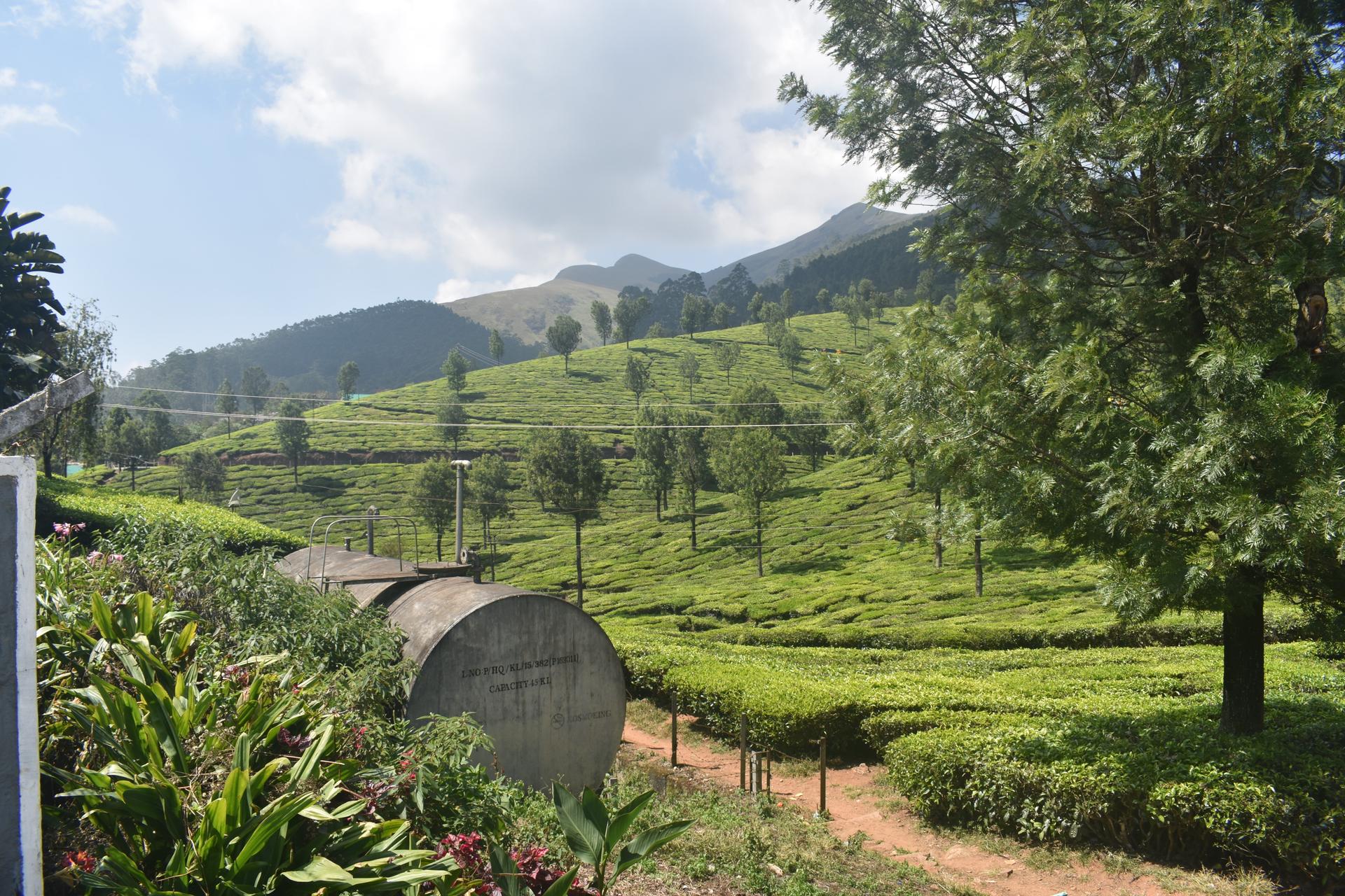 Madupetty Tea Estate