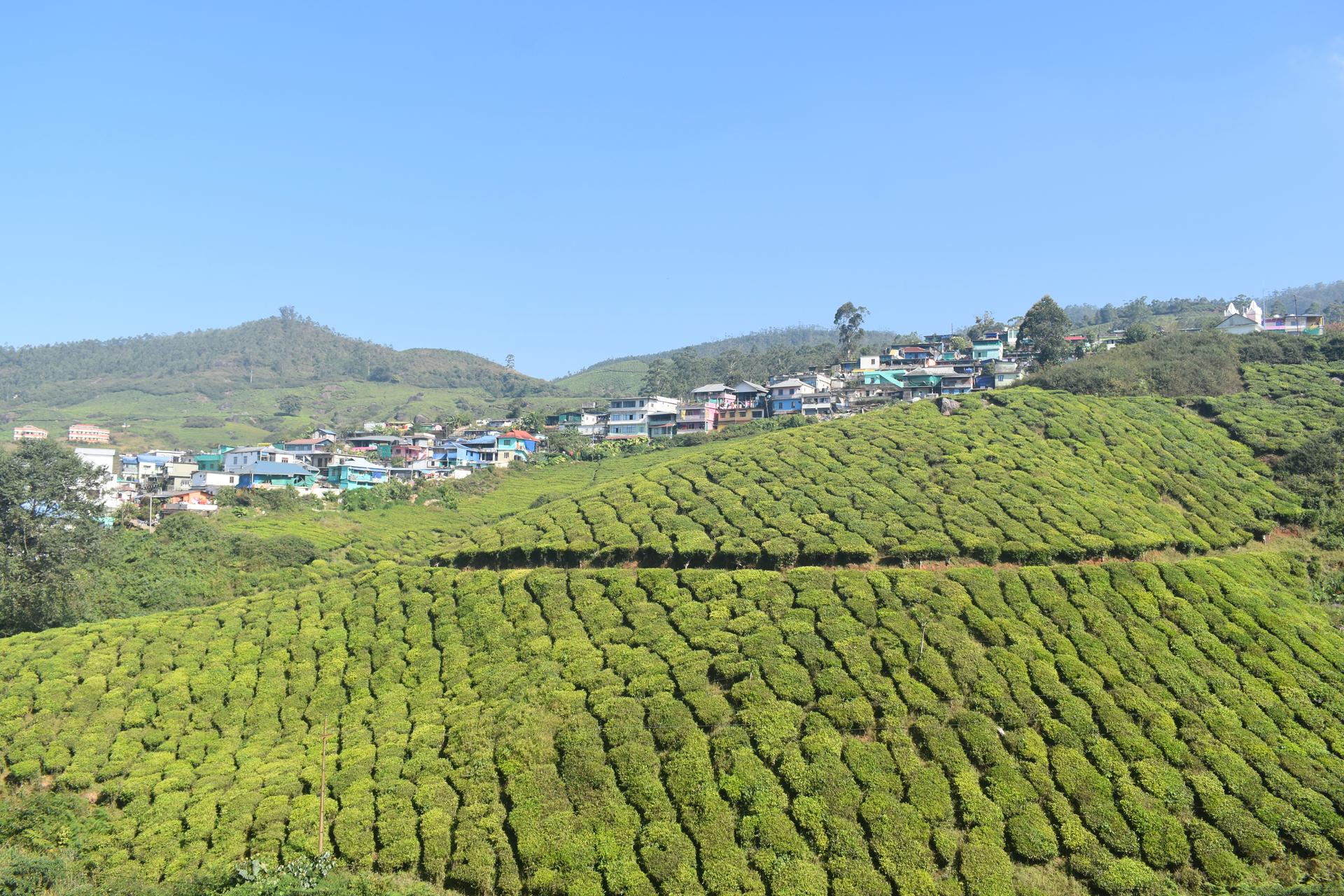 Munnar