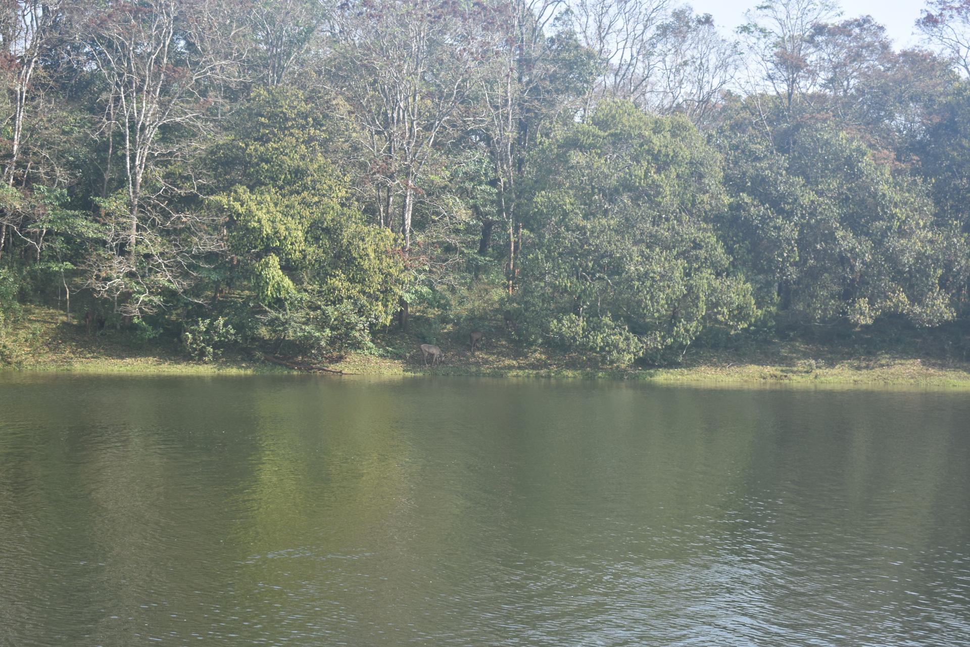 Periyar Fauna